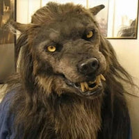 MOONHOWL – realistyczna maska wilkołaka na Halloween i cosplay