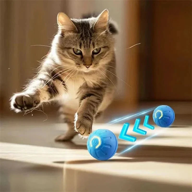 PLAYPET Interactive Dog Ball – Rechargeable Bouncing Ball