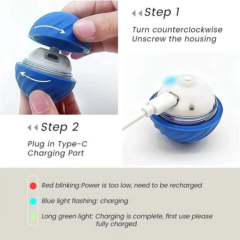 PLAYPET Interactive Dog Ball – Rechargeable Bouncing Ball