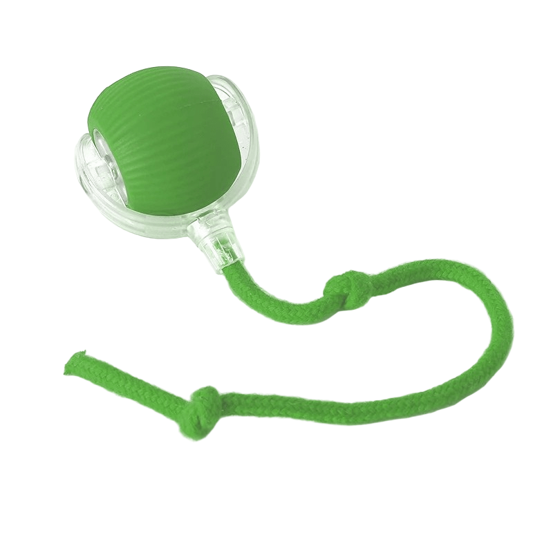 PLAYPET Interactive Dog Ball – Rechargeable Bouncing Ball