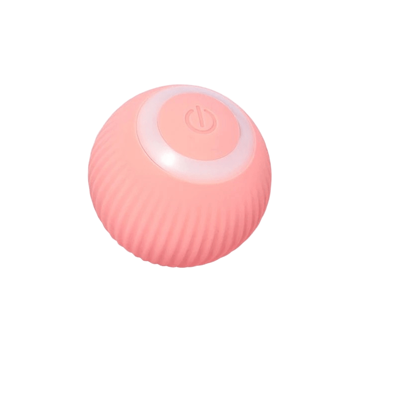 PLAYPET Interactive Dog Ball – Rechargeable Bouncing Ball
