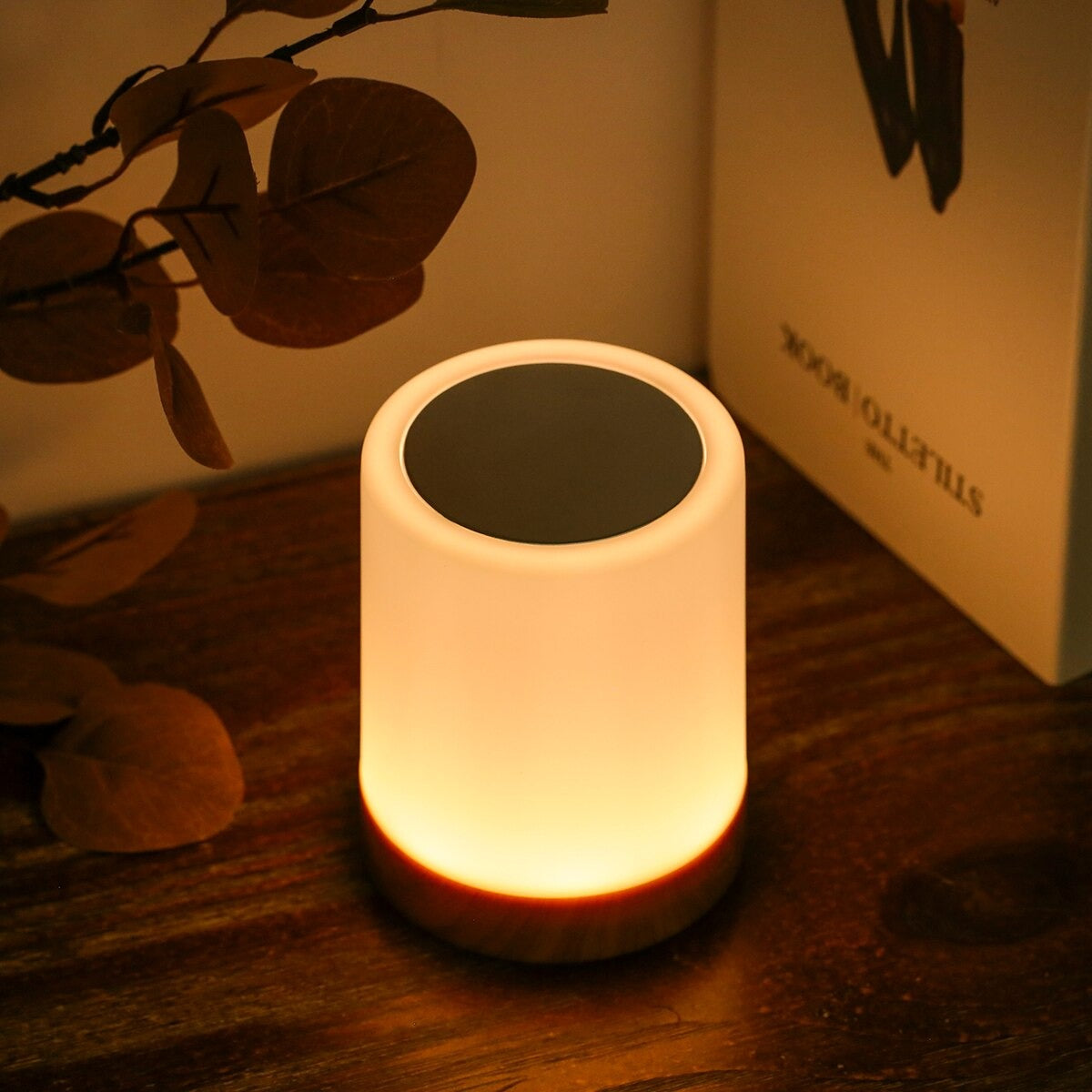 Wireless Touch Bedside Lamp